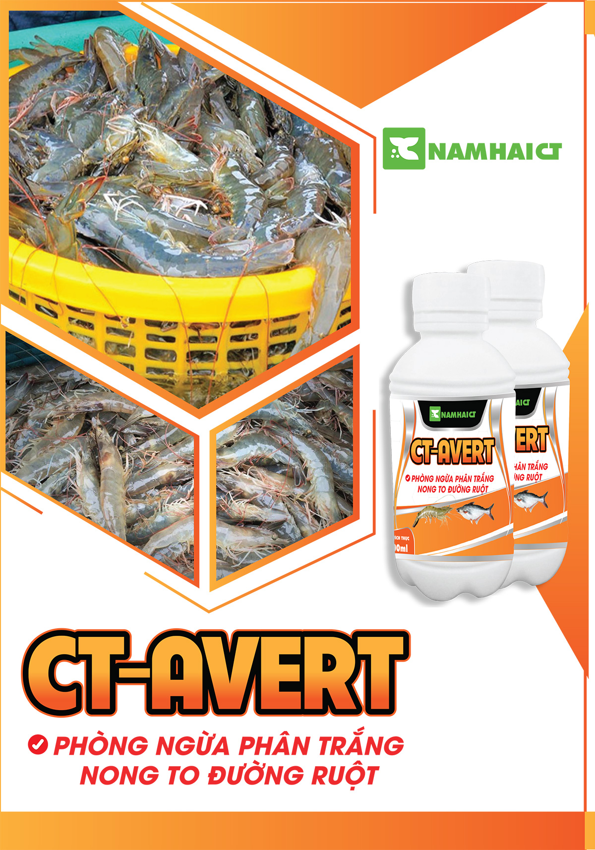 CT-AVERT - Phòng ngừa phân trắng nong to đường ruột