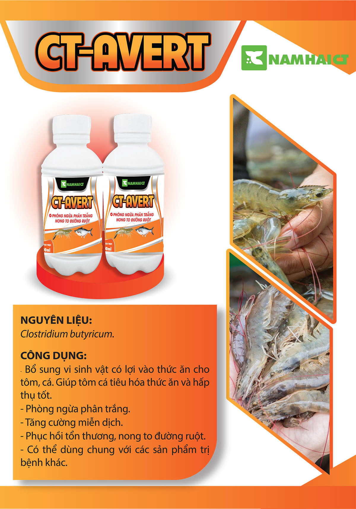 CT-AVERT - Phòng ngừa phân trắng nong to đường ruột