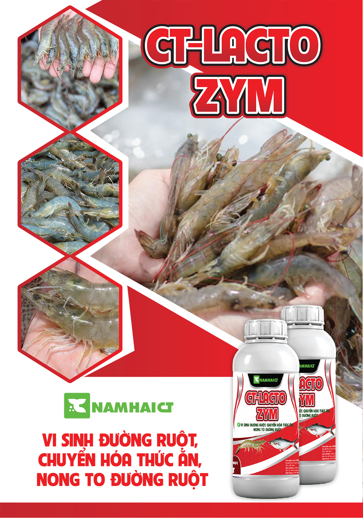 CT-LACTO ZYM - Vi sinh đường ruột, chuyển hóa thức ăn, nong to đường ruột