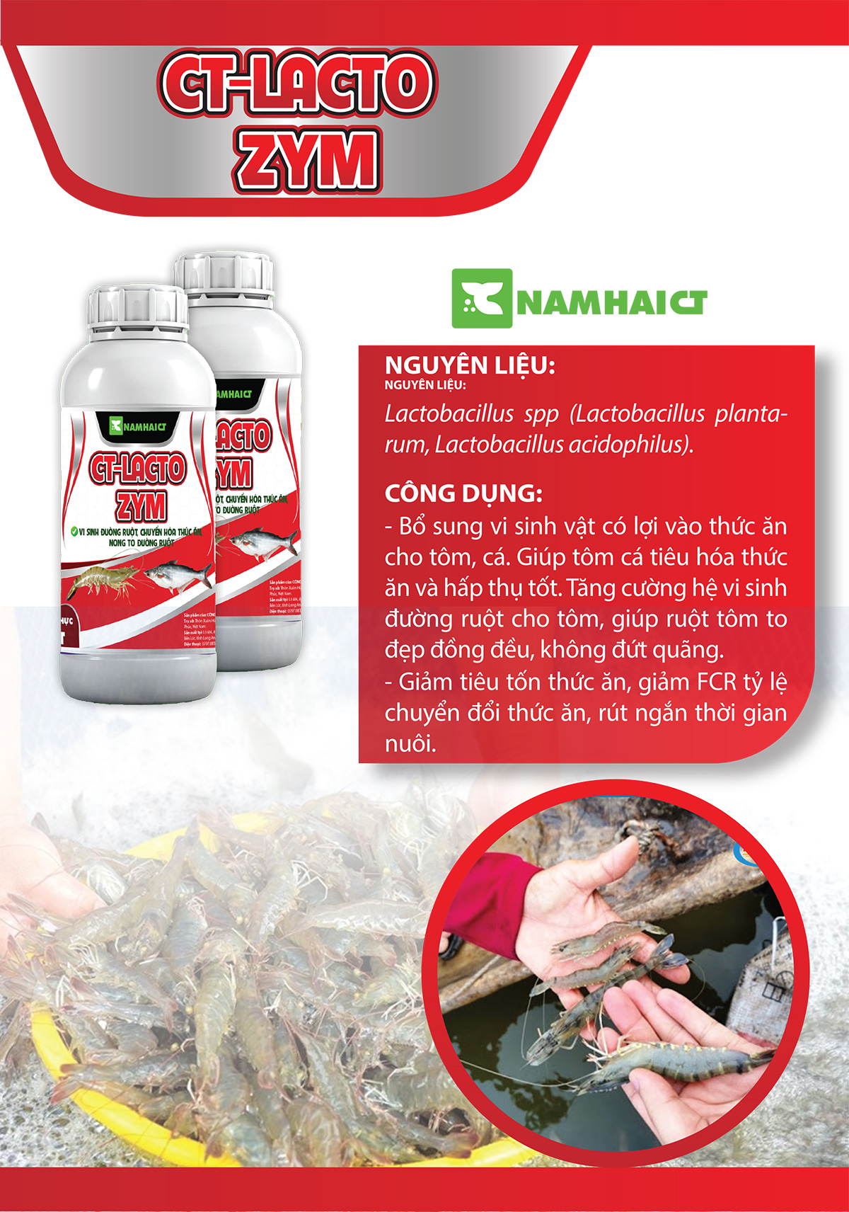 CT-LACTO ZYM - Vi sinh đường ruột, chuyển hóa thức ăn, nong to đường ruột