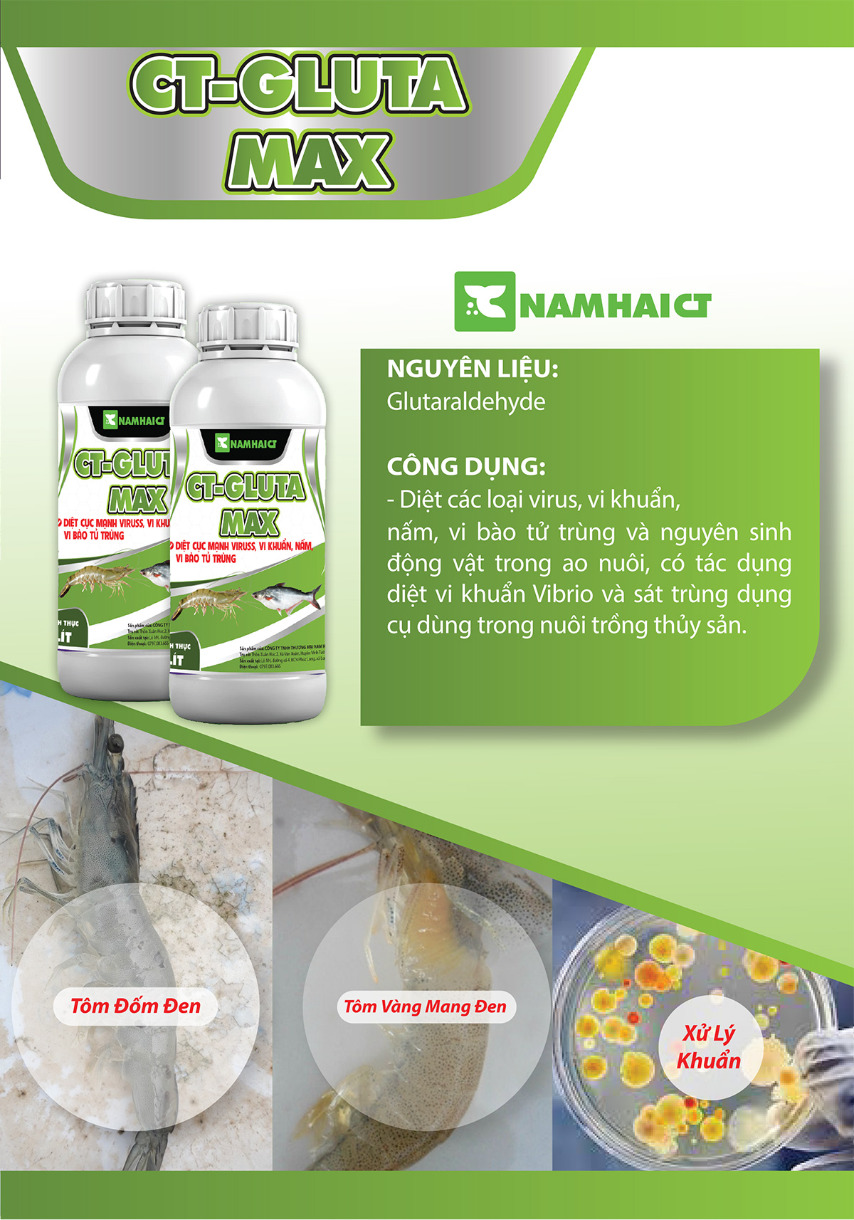 GT-GLUTA MAX - Diệt cực mạnh viruss, vi khuẩn, nấm, vi bào tử trùng